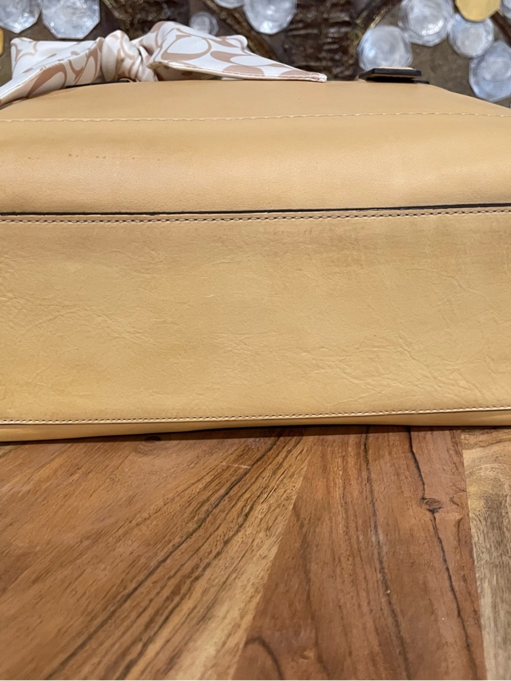 Coach Y2K Hampton Madeline Carryall (F13675). - Picture 13 of 16